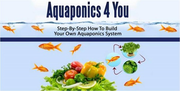 Aquaponics 4 You: Step-by-Step How to Build Your Own Aquapoics System