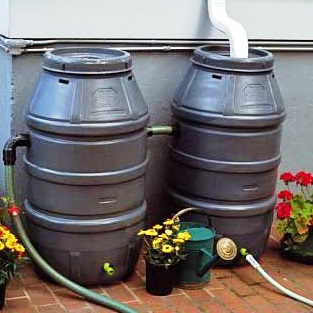 Rainwater Harvesting: Why You Should Do It And How! (Guest Post)