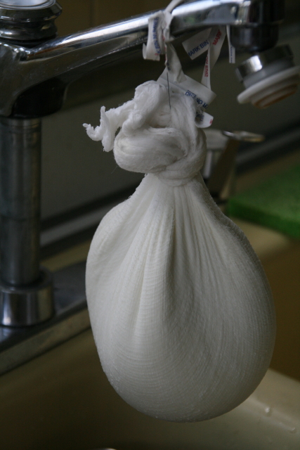 Cheesecloth as Bio-Hazard Mask? +10 Alternative Uses