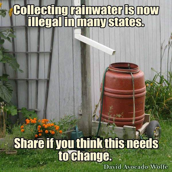 Rainwater Harvesting Not Actually Illegal, Even Encouraged by Government?