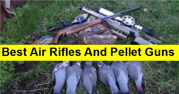 Best Air Rifles And Pellet Guns For Survival (+ 5 Reasons Why)