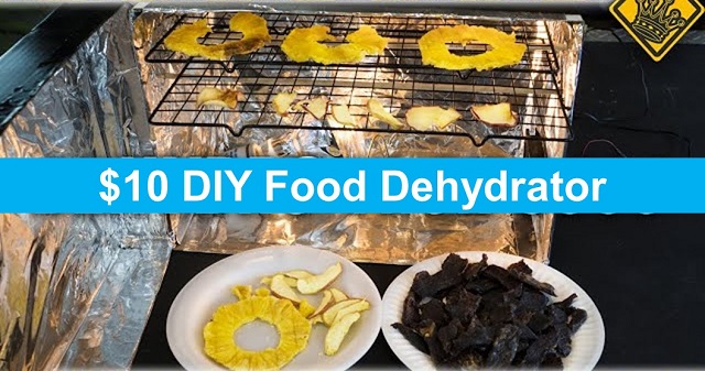 $10 DIY Food Dehydrator