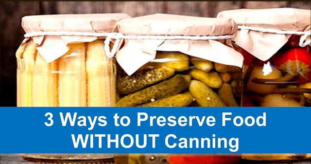 3 Ways to Preserve Food WITHOUT Canning