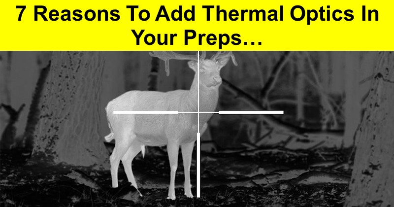 7 Reasons To Add Thermal Optics In Your Preps