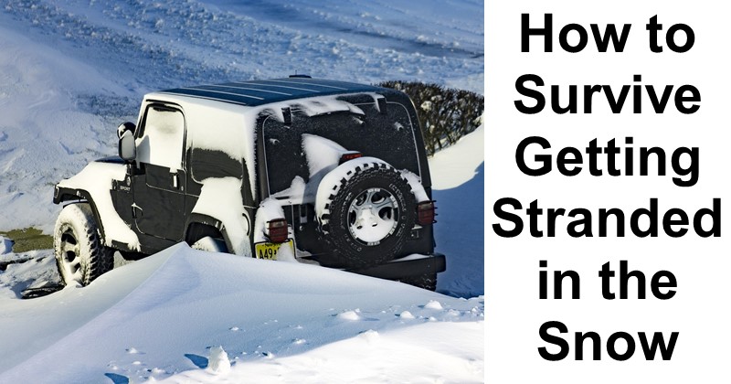 How to Survive Getting Stranded in the Snow