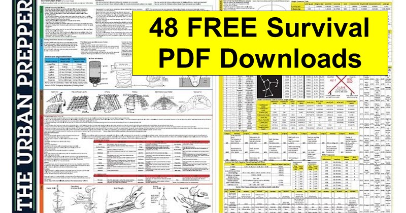survival guide pdf free download