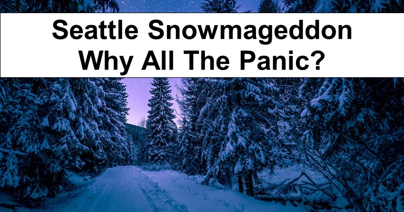 Seattle Snowmageddon – Why All The Panic?