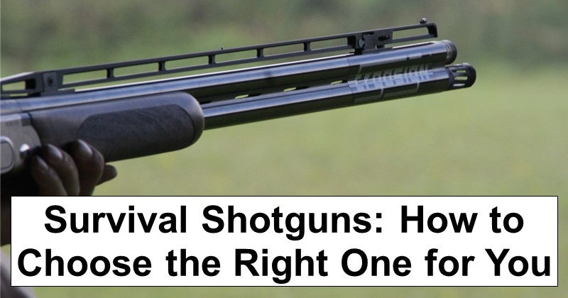 Survival Shotguns: How to Choose the Right One for You