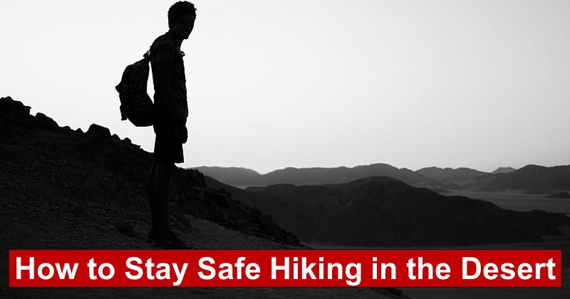 How to Stay Safe Hiking in the Desert