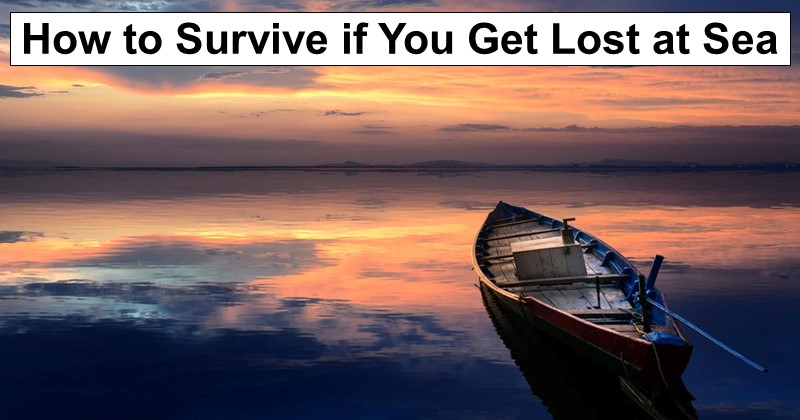 How to Survive if You Get Lost at Sea