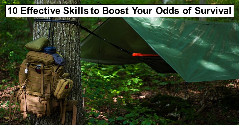 10 Effective Skills to Boost Your Odds of Survival