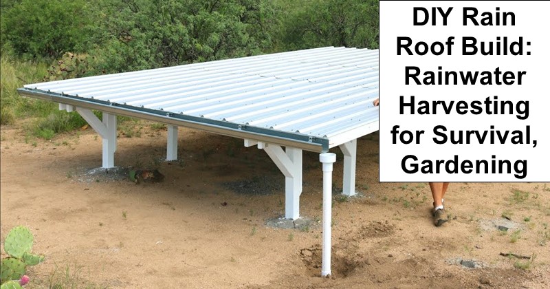 DIY Rain Roof Build: Rainwater Harvesting for Survival, Gardening