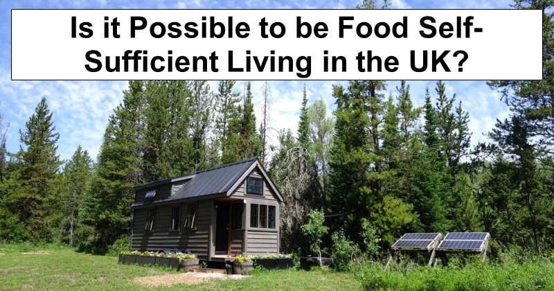 Is it Possible to be Food Self-Sufficient Living in the UK?