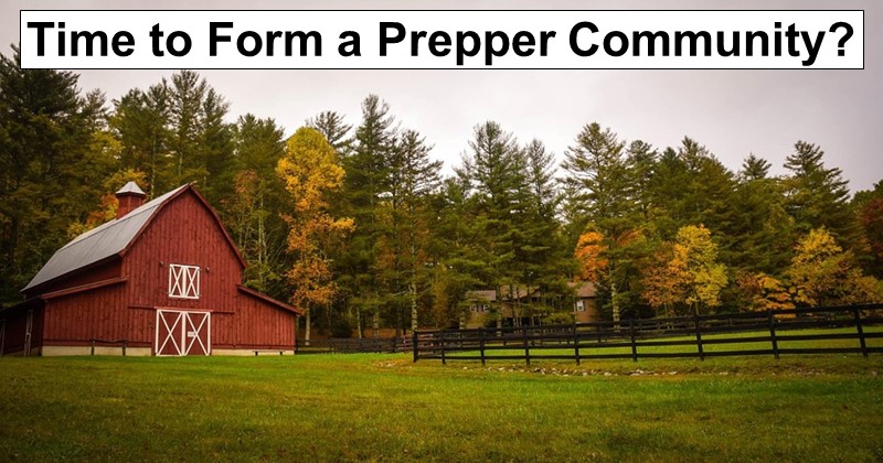 Stay Alone or Organize with Others? Prepper-community