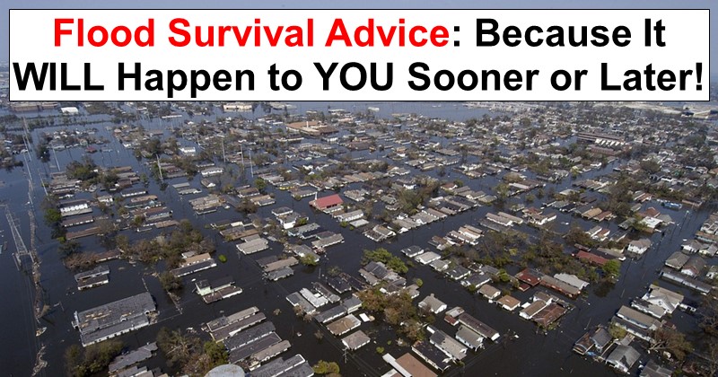 Flood Survival Advice