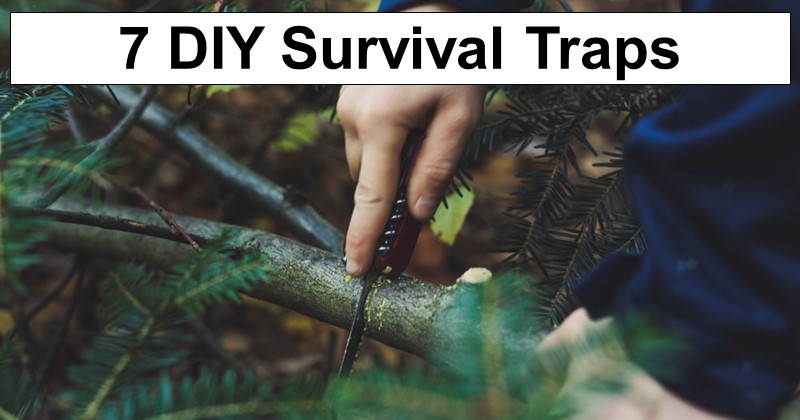 7 DIY Survival Traps to Know