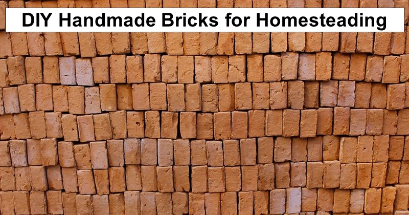 DIY Handmade Bricks for Homesteading