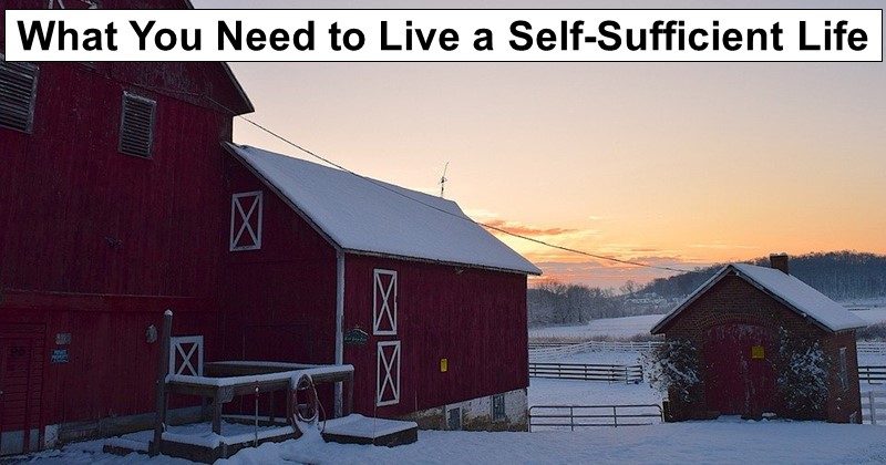 What You Need to Live a Self-Sufficient Life