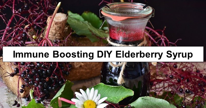 Immune Boosting DIY Elderberry Syrup