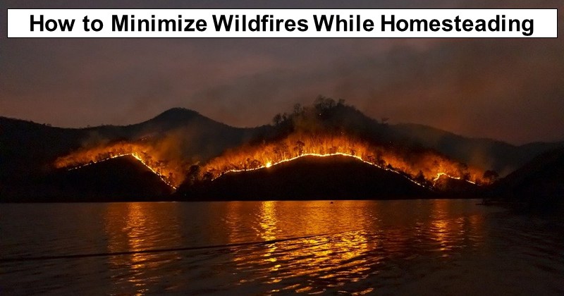 How to Minimize Wildfires While Homesteading