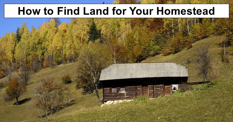 How to Find Land for Your Homestead