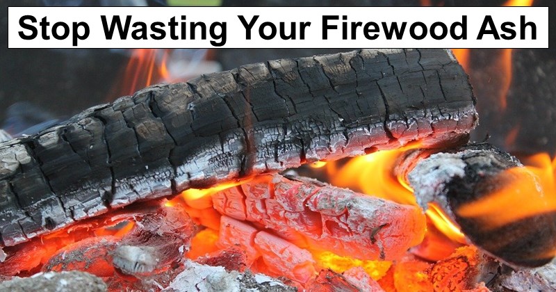 Stop Wasting Your Firewood Ash