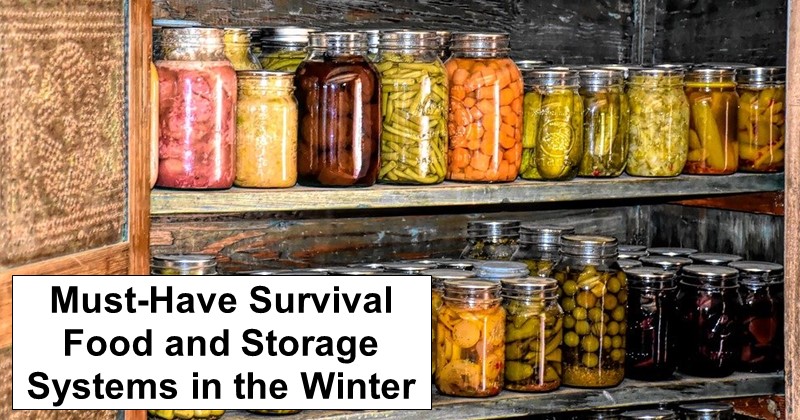 Must-Have Survival Food and Storage Systems in the Winter
