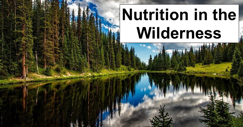 How to Get Nutrition in the Wilderness