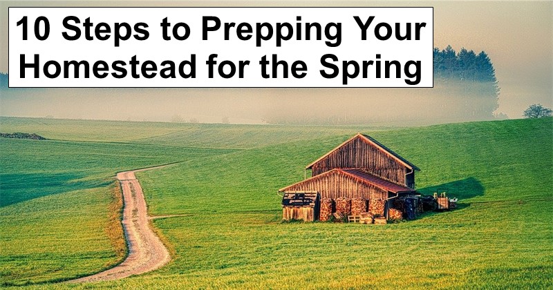 10 Steps to Prepping Your Homestead for the Spring