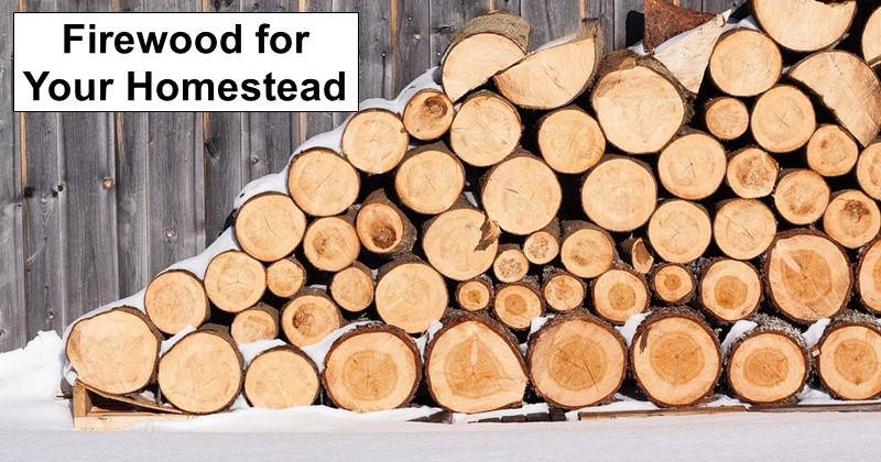 Everything to Know About Firewood for Your Homestead