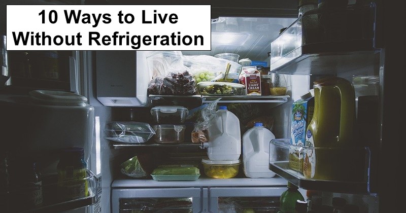 10 Ways to Live Without Refrigeration