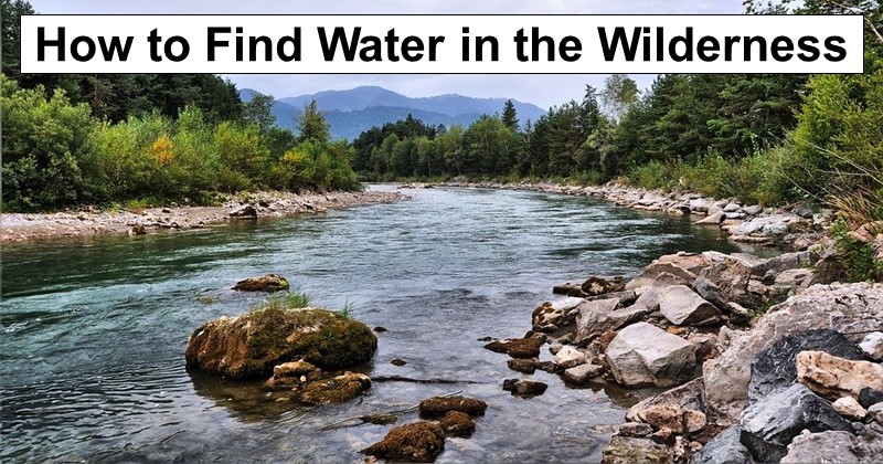 Where to Find Emergency Water Sources (Besides your Faucet) Find-water-wilderness