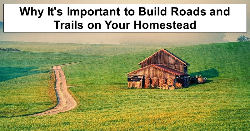 Why It’s Important to Build Roads and Trails on Your Homestead