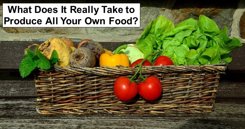 What Does It Really Take to Produce All Your Own Food?