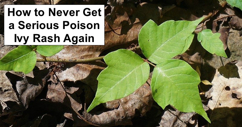 How to Never Get a Serious Poison Ivy Rash Again