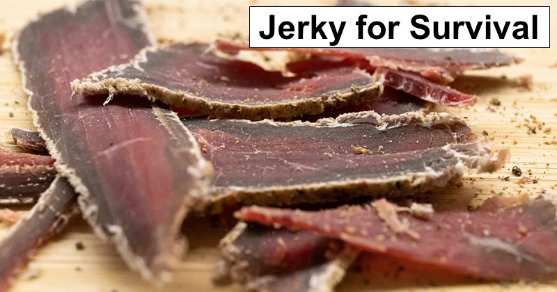 Jerky for Survival