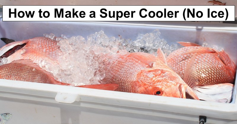 How to Make a Super Cooler (Keeps Frozen for 10+ Days)