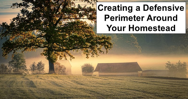 Creating a Defensive Perimeter Around Your Homestead