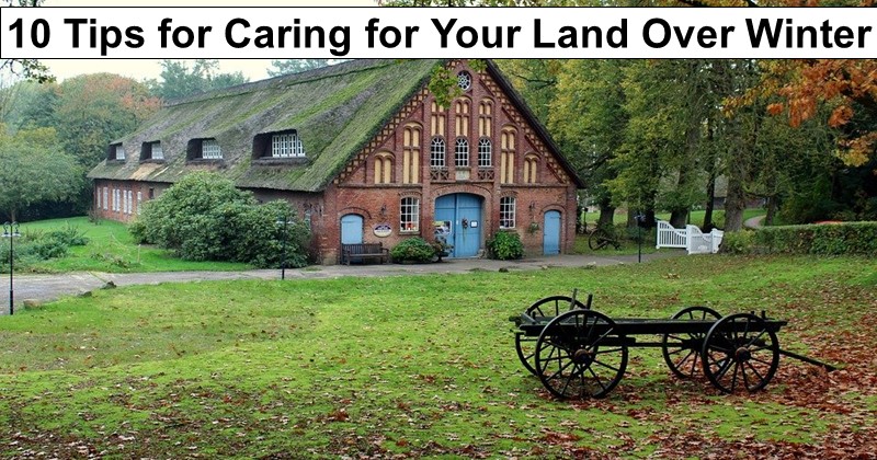 10 Tips for Caring for Your Land Over the Winter