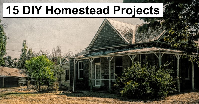 15 DIY Homestead Projects to Jumpstart Your Survival