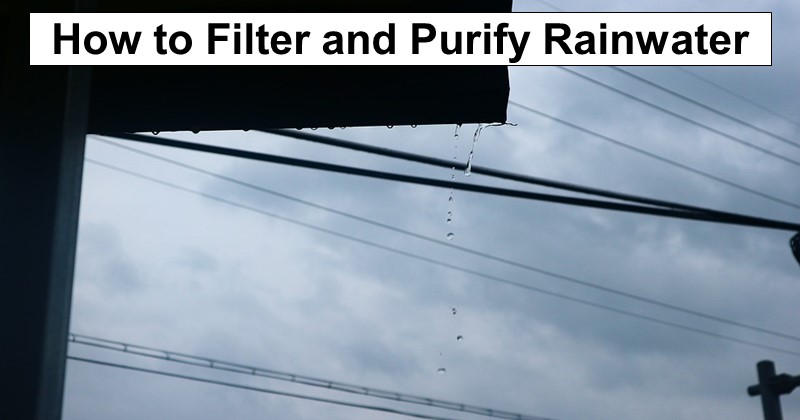 How to Filter and Purify Rainwater