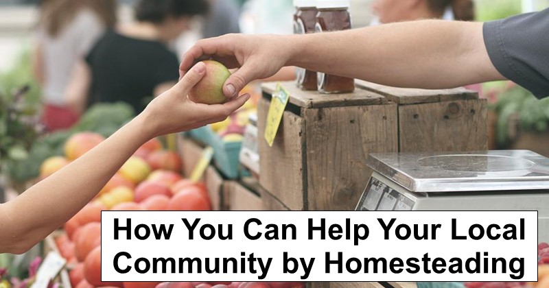 How You Can Help Your Local Community by Homesteading