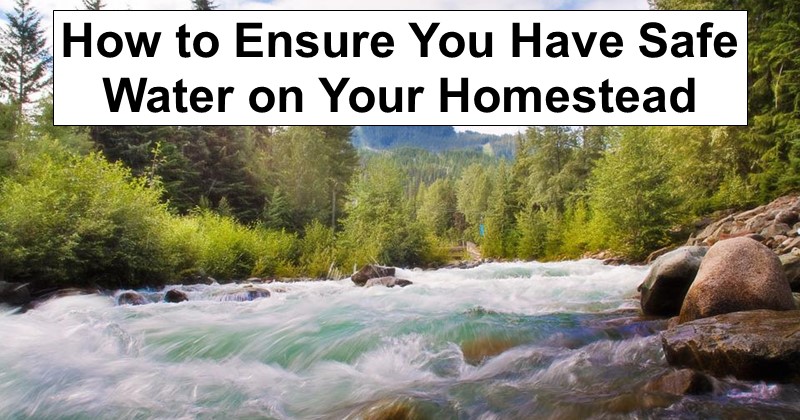 How to Ensure You Have Safe Water on Your Homestead