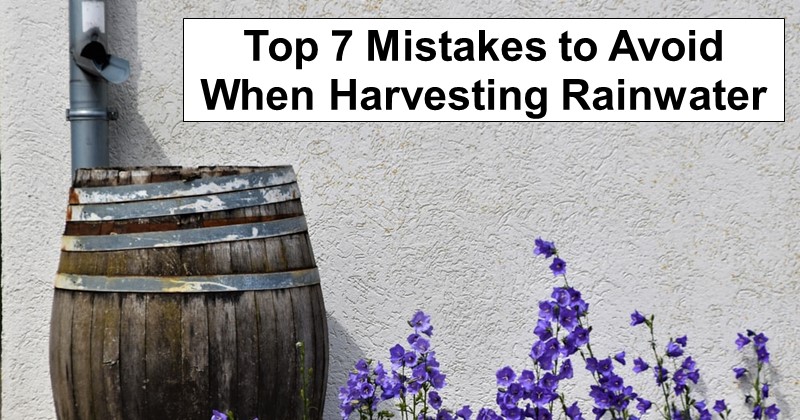 7 Rainwater Harvesting  Mistakes