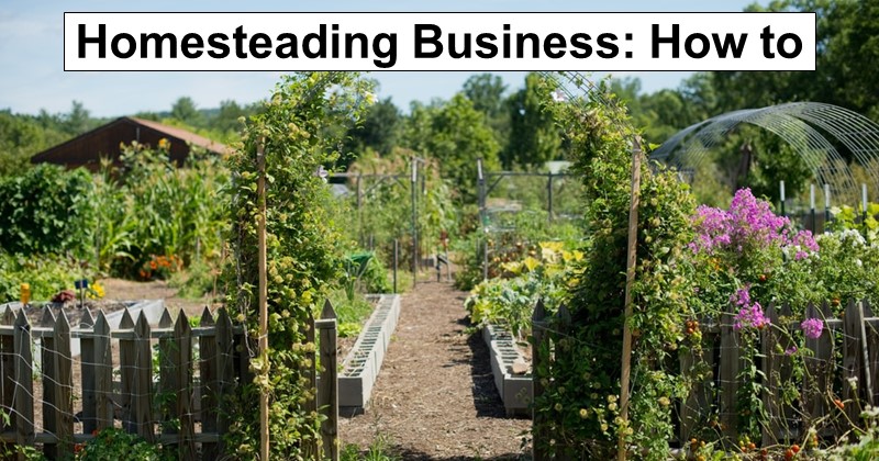 Turning Your Homestead Into a Business