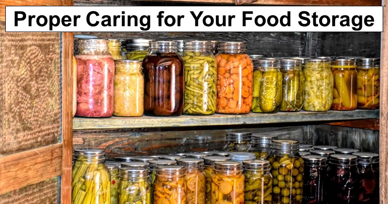 Taking Proper Care of Your Food Storage Systems
