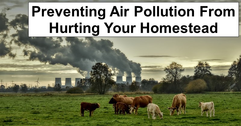 Preventing Air Pollution From Hurting Your Homestead