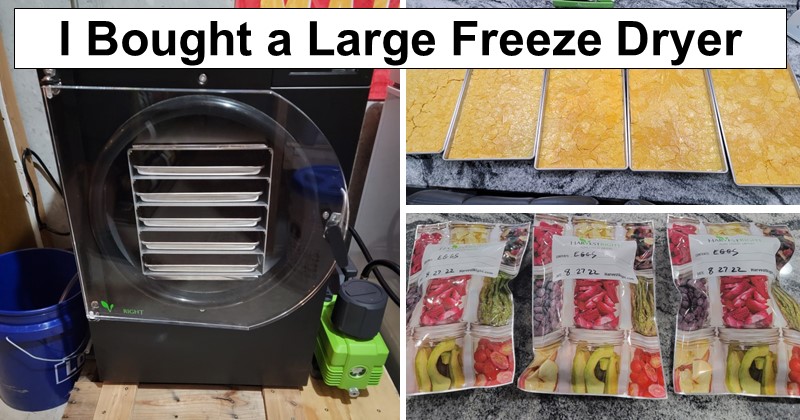 I Bought a Large Freeze Dryer