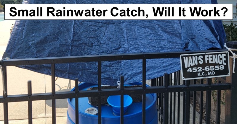 Small Rainwater Catch, Does It Work?