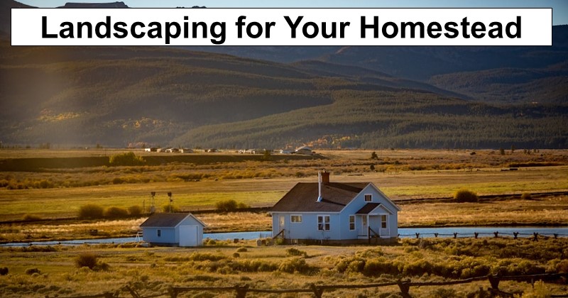 Considerations for Hiring a Landscaper for Your Homestead